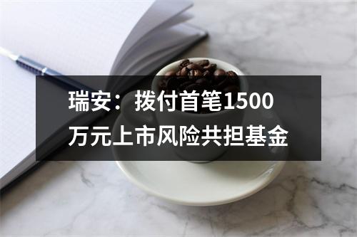 瑞安：拨付首笔1500万元上市风险共担基金