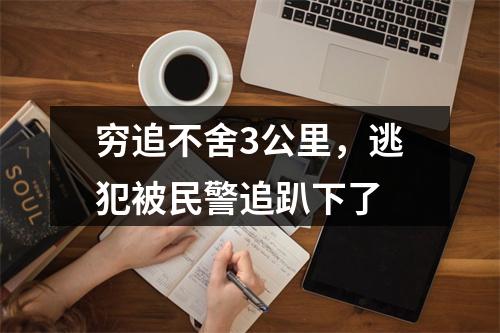 穷追不舍3公里，逃犯被民警追趴下了