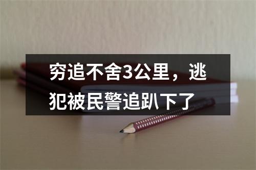 穷追不舍3公里，逃犯被民警追趴下了
