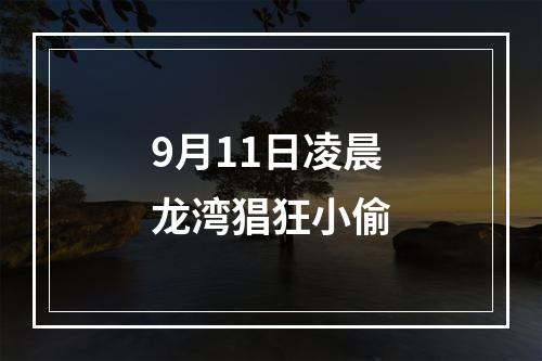 9月11日凌晨龙湾猖狂小偷