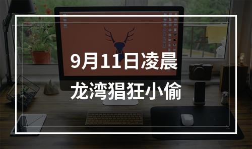 9月11日凌晨龙湾猖狂小偷