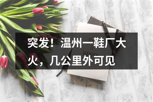 突发！温州一鞋厂大火，几公里外可见