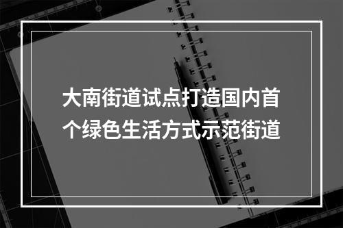 大南街道试点打造国内首个绿色生活方式示范街道