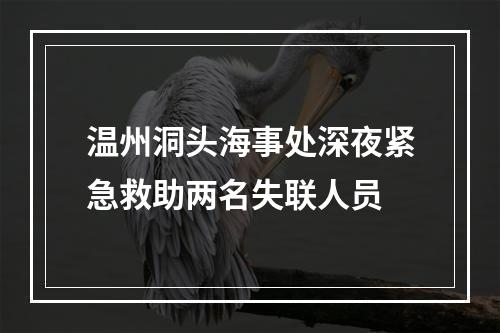 温州洞头海事处深夜紧急救助两名失联人员