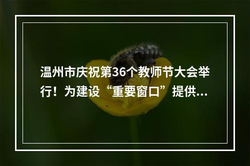 温州市庆祝第36个教师节大会举行！为建设“重要窗口”提供教育坚实支撑