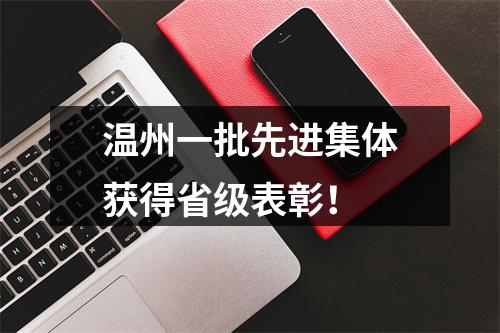温州一批先进集体获得省级表彰！