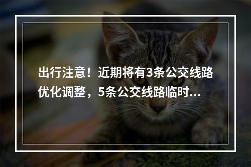 出行注意！近期将有3条公交线路优化调整，5条公交线路临时调整→