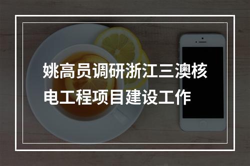 姚高员调研浙江三澳核电工程项目建设工作