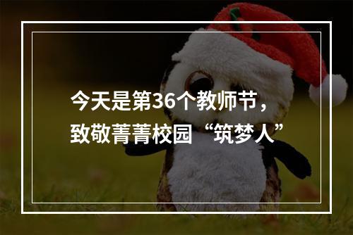 今天是第36个教师节，致敬菁菁校园“筑梦人”