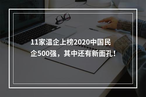 11家温企上榜2020中国民企500强，其中还有新面孔！