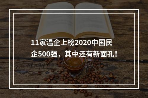 11家温企上榜2020中国民企500强，其中还有新面孔！