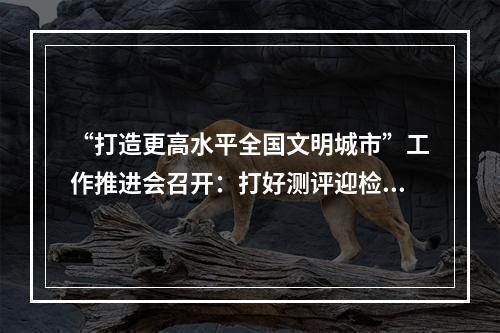 “打造更高水平全国文明城市”工作推进会召开：打好测评迎检攻坚战，确保高分夺取...