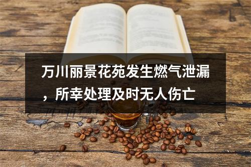 万川丽景花苑发生燃气泄漏，所幸处理及时无人伤亡