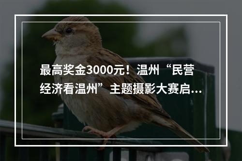 最高奖金3000元！温州“民营经济看温州”主题摄影大赛启动！
