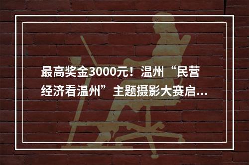 最高奖金3000元！温州“民营经济看温州”主题摄影大赛启动！