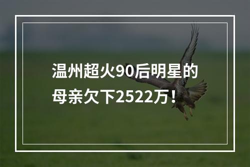 温州超火90后明星的母亲欠下2522万！