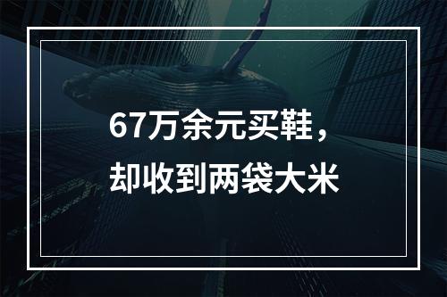 67万余元买鞋，却收到两袋大米