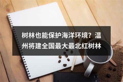 树林也能保护海洋环境？温州将建全国最大最北红树林