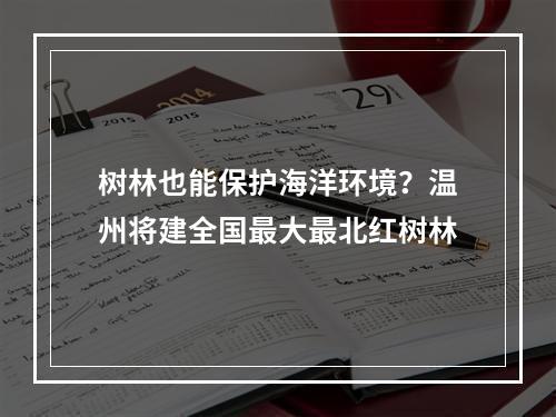 树林也能保护海洋环境？温州将建全国最大最北红树林