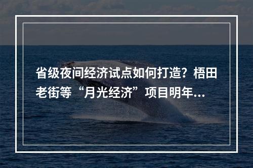 省级夜间经济试点如何打造？梧田老街等“月光经济”项目明年投用