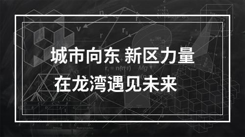 城市向东 新区力量 在龙湾遇见未来