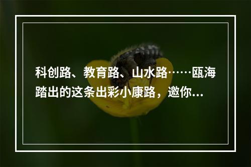 科创路、教育路、山水路……瓯海踏出的这条出彩小康路，邀你同行！
