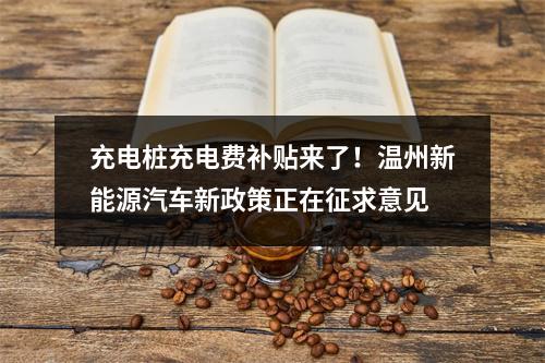 充电桩充电费补贴来了！温州新能源汽车新政策正在征求意见