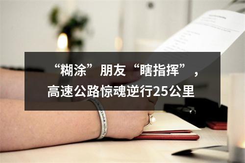 “糊涂”朋友“瞎指挥”，高速公路惊魂逆行25公里