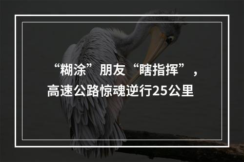 “糊涂”朋友“瞎指挥”，高速公路惊魂逆行25公里