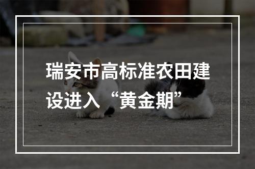瑞安市高标准农田建设进入“黄金期”