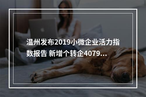 温州发布2019小微企业活力指数报告 新增个转企4079家 全省增速第一