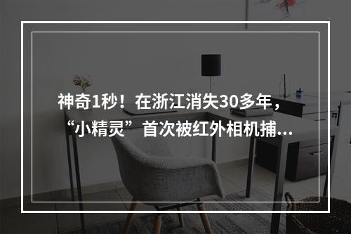 神奇1秒！在浙江消失30多年，“小精灵”首次被红外相机捕捉！