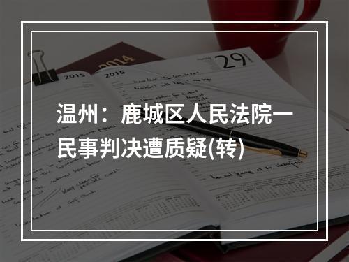 温州：鹿城区人民法院一民事判决遭质疑(转)