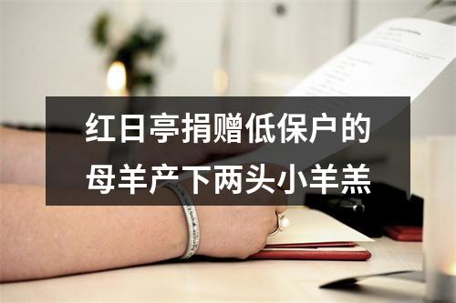 红日亭捐赠低保户的母羊产下两头小羊羔