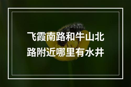 飞霞南路和牛山北路附近哪里有水井