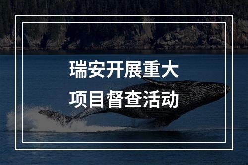 瑞安开展重大项目督查活动