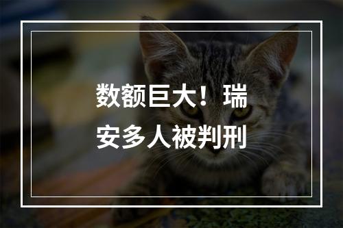 数额巨大！瑞安多人被判刑