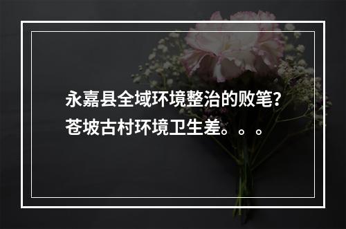 永嘉县全域环境整治的败笔？苍坡古村环境卫生差。。。
