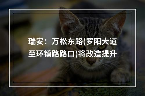 瑞安：万松东路(罗阳大道至环镇路路口)将改造提升