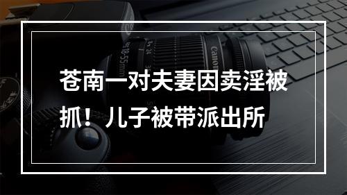苍南一对夫妻因卖淫被抓！儿子被带派出所
