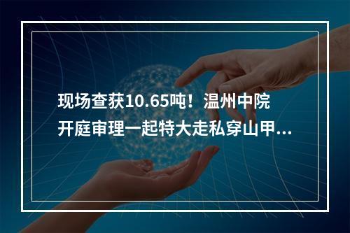 现场查获10.65吨！温州中院开庭审理一起特大走私穿山甲鳞片案
