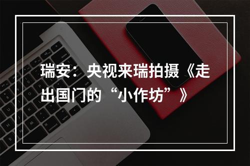 瑞安：央视来瑞拍摄《走出国门的“小作坊”》