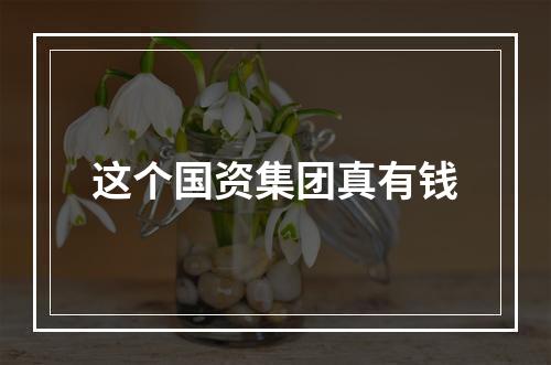 这个国资集团真有钱