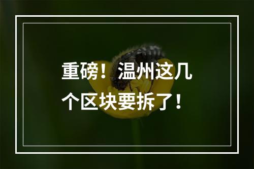 重磅！温州这几个区块要拆了！