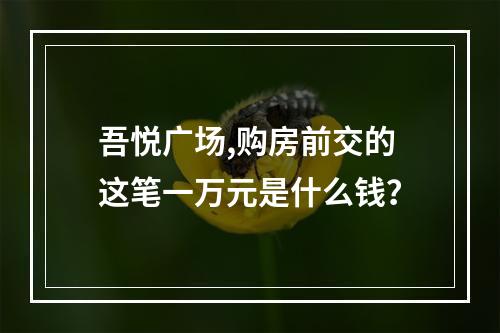 吾悦广场,购房前交的这笔一万元是什么钱？