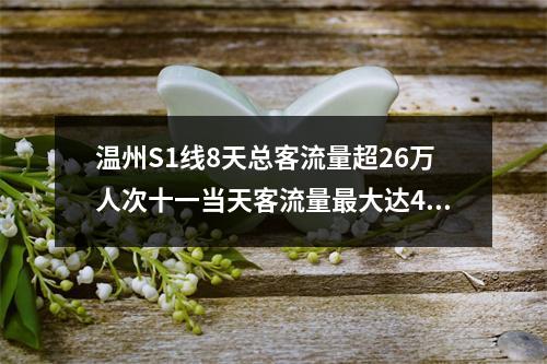 温州S1线8天总客流量超26万人次十一当天客流量最大达4.3万人次