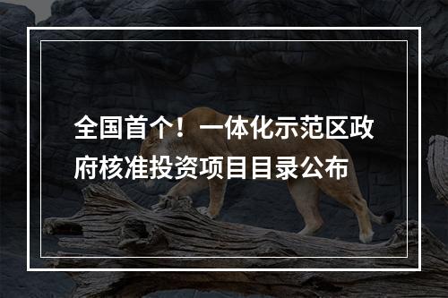 全国首个！一体化示范区政府核准投资项目目录公布
