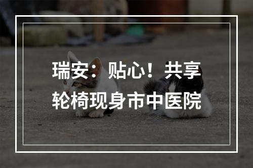 瑞安：贴心！共享轮椅现身市中医院