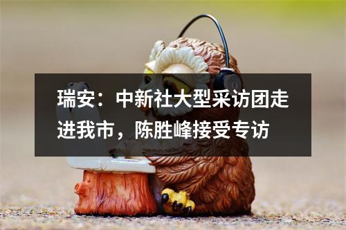 瑞安：中新社大型采访团走进我市，陈胜峰接受专访