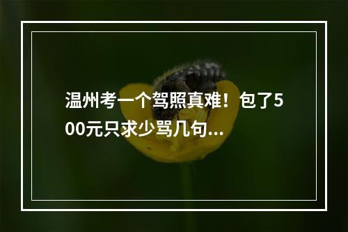 温州考一个驾照真难！包了500元只求少骂几句...